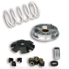 Variador Malossi Multivar Peugeot Buxy Zenith, Speedake