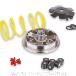 Variador Malossi Multivar PGO Big Max