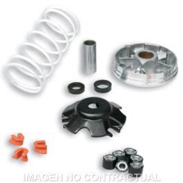 Variador Malossi Multivar 2000 Runner, Extrem, Liberty