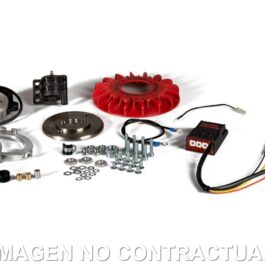 ENCENDIDO ROTOR INTERNO MALOSSI MHR TEAM II VESPA