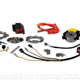 ENCENDIDO ROTOR INTERNO MALOSSI MHR TEAM II MINAR