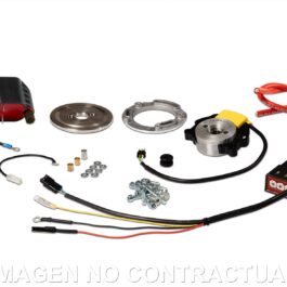 ENCENDIDO ROTOR INTERNO MALOSSI MHR TEAM II MOTO
