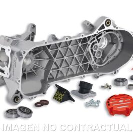 Cárter motor completo Malossi RC-One Piaggio 50