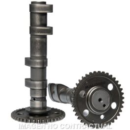 Arbol de levas doble Malossi Yamaha T-Max 560