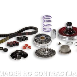 Over Range Malossi MHR Aluminium Piaggio NRG MC2