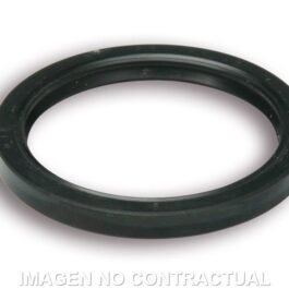 Retén Aceite Variador Malossi D. 31 X 38 X 04 Para Variador 5111808