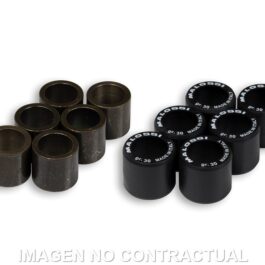 Rodillos Htroll 25X22,2 22 GR