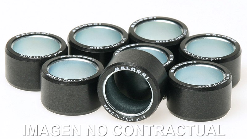 RODILLOS MALOSSI HTROLL 25X17 20 GR