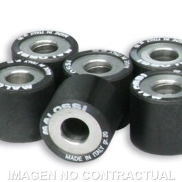 Rodillos Htroll 25X22 20 GR