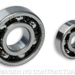 Cojinetes Malossi 20-17 Motocarro APE 50