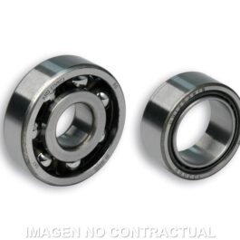Cojinetes Malossi 25-17 VESPA XL 125