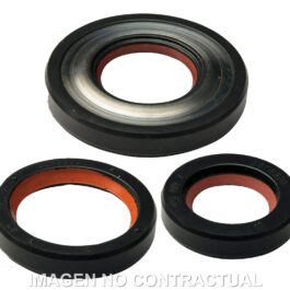 Juego retenes aceite Malossi Vespa PK