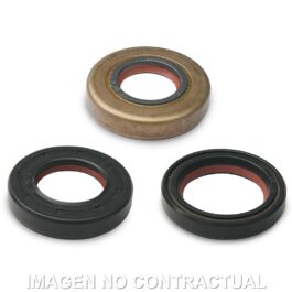 JUEGO RETEN ACEITE FKM/PTFE MALOSSI MINARELLI AM6