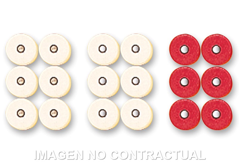 Kit Nº1 Rodillos Malossi 16X13 (2