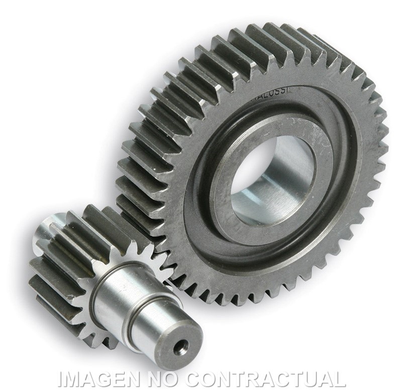 Desarrollo Secundario Largo C/Jaula D.17mm Zip Fast Rider