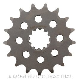Piñón Supersprox Kawasaki 530 x 17