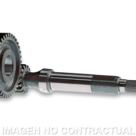 Desarrollo Primario 15/43 Derbi Predator
