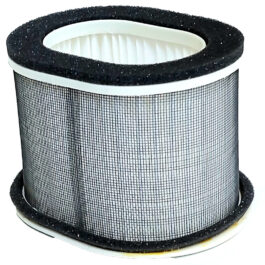 Filtro de aire 3GM-14451-00