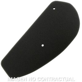 Filtro aire Meiwa Honda Sky 50