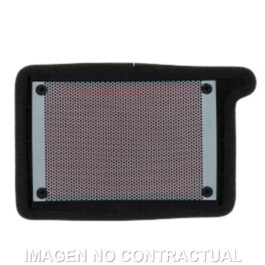 Filtro aire Meiwa TRIUMPH TIGER SPORT 660 (22)
