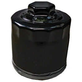 Filtro aceite SGR Honda SH 300