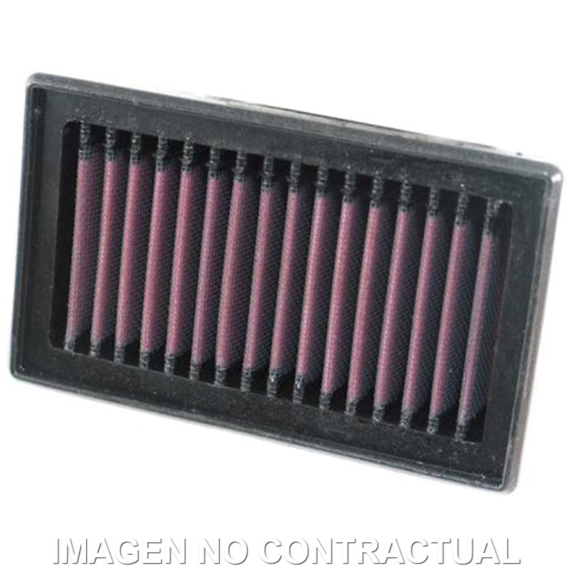 Filtro aire K&N BMW F 800 S/R