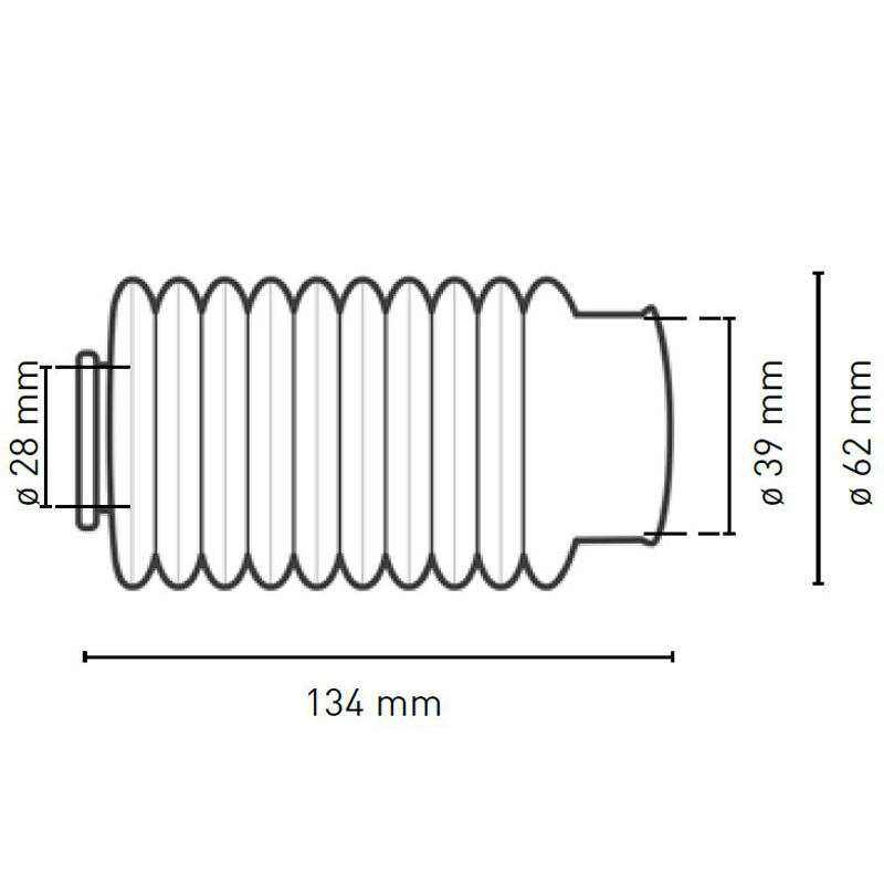 Fuelle Circuit 10 Dientes Negro - Imagen 2