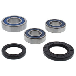 Kit de rodamientos rueda All Balls 25-1749